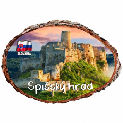 Magnetka kôra Spišský Hrad 1