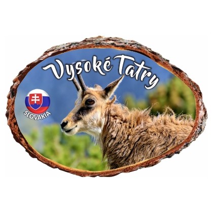 Magnetka kôra Vysoké Tatry 01