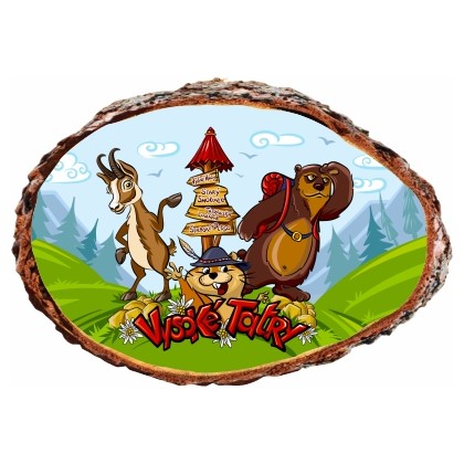 Magnetka kôra Vysoké Tatry 02