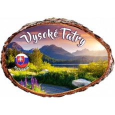 Magnetka kôra Vysoké Tatry 03