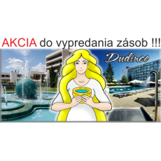Magnetka kovová Dudince 01