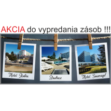 Magnetka kovová Dudince 02
