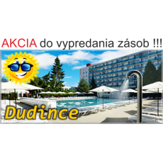 Magnetka kovová Dudince 04